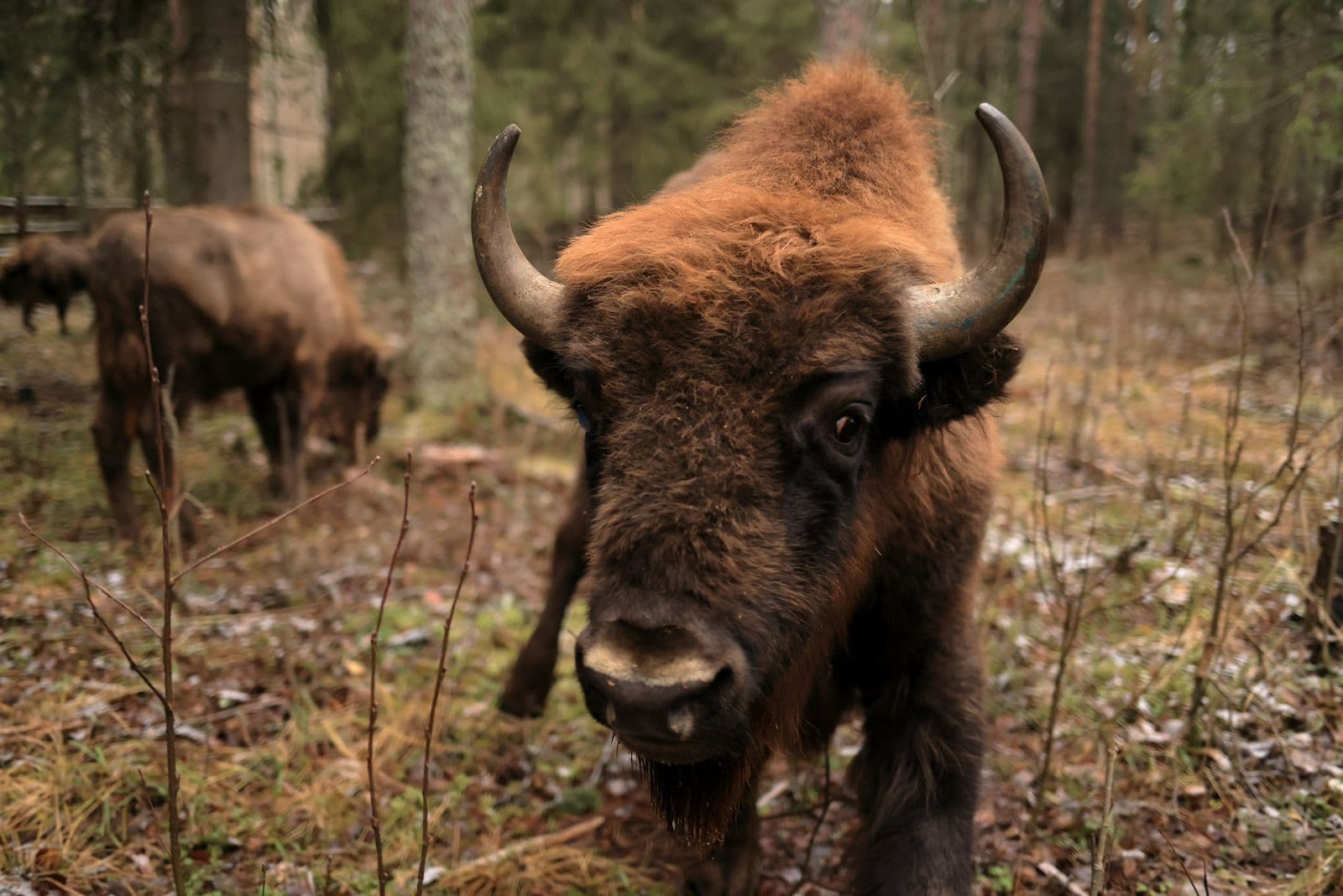 WhatsApp Image 2024-12-09 at 15.47.16 (3).jpeg