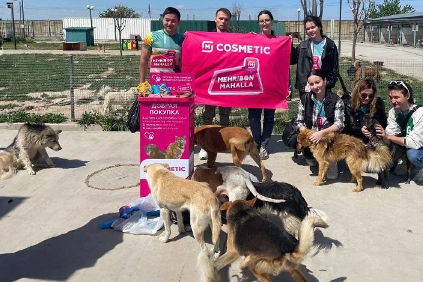 Обложка проекта