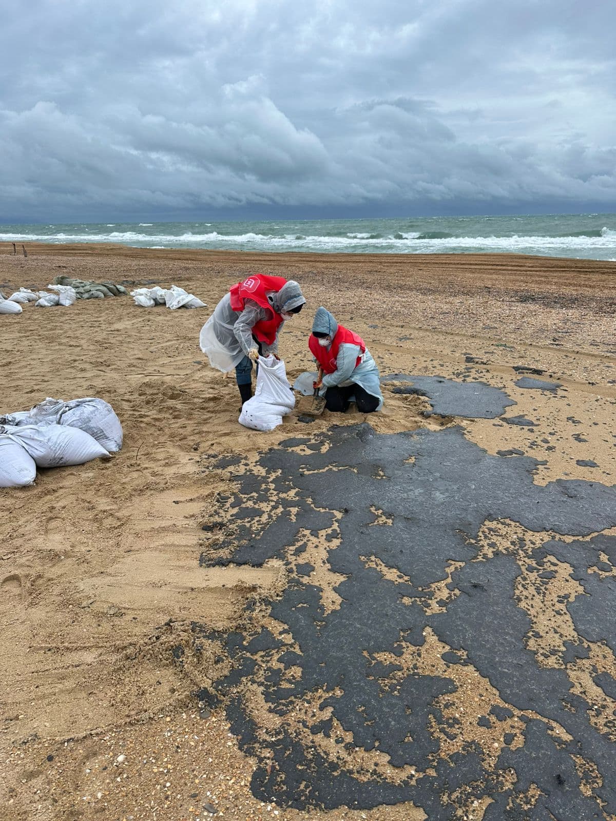 WhatsApp Image 2024-12-22 at 17.37.22.jpeg